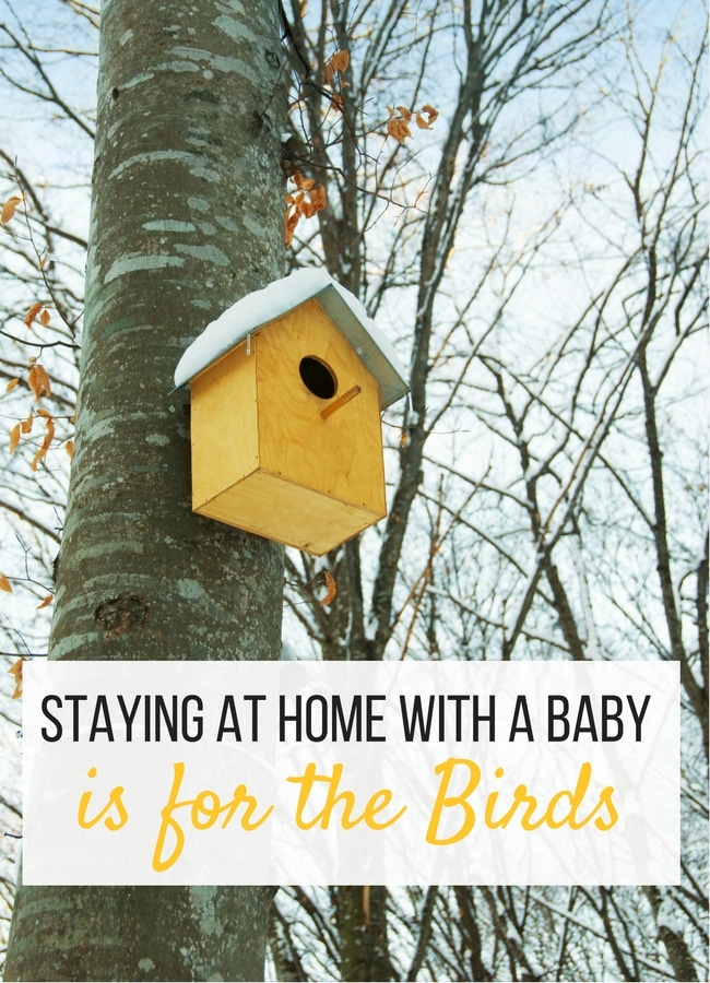 the importance of enjoying nature with your baby - The Educators' Spin On It Staying at Home with a Baby is for the birds. It's not what you think, here's why