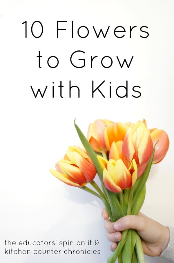 10 flowers to grow with kids - The Educators' Spin On It 10 flowers to grow with kids