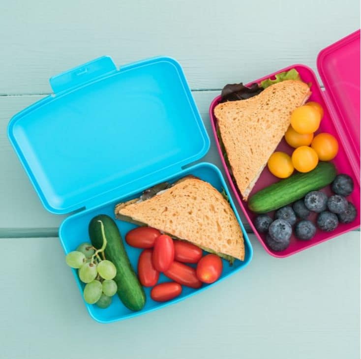 100-lunch-ideas-for-back-to-school - The Educators' Spin On It Lunch boxes for kids that features 100+ lunch recipes for parents