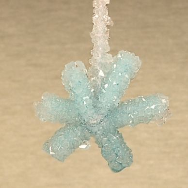 Borax Crystal Snowflakes for Winter Science with Kids
