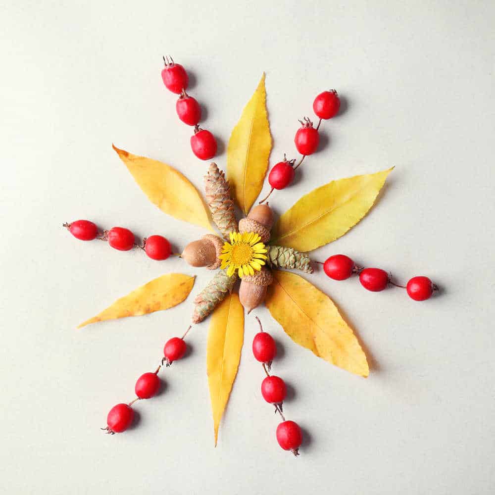 acorn-mandala-design-for-kids- - The Educators' Spin On It Acorn and Leaves Mandala Design for fall with kids