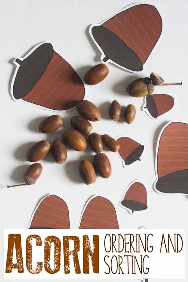 acorn-ordering-and-sorting-feature - The Educators' Spin On It Acorn Ordering and Sorting