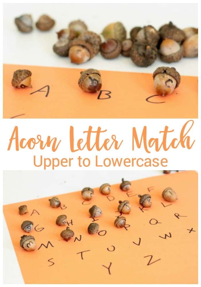 acorns-p - The Educators' Spin On It Acorn Letter Match