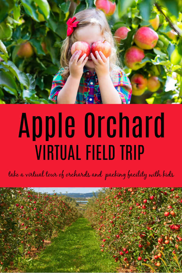 apple-orchard-virtual-field-trip-1 - The Educators' Spin On It