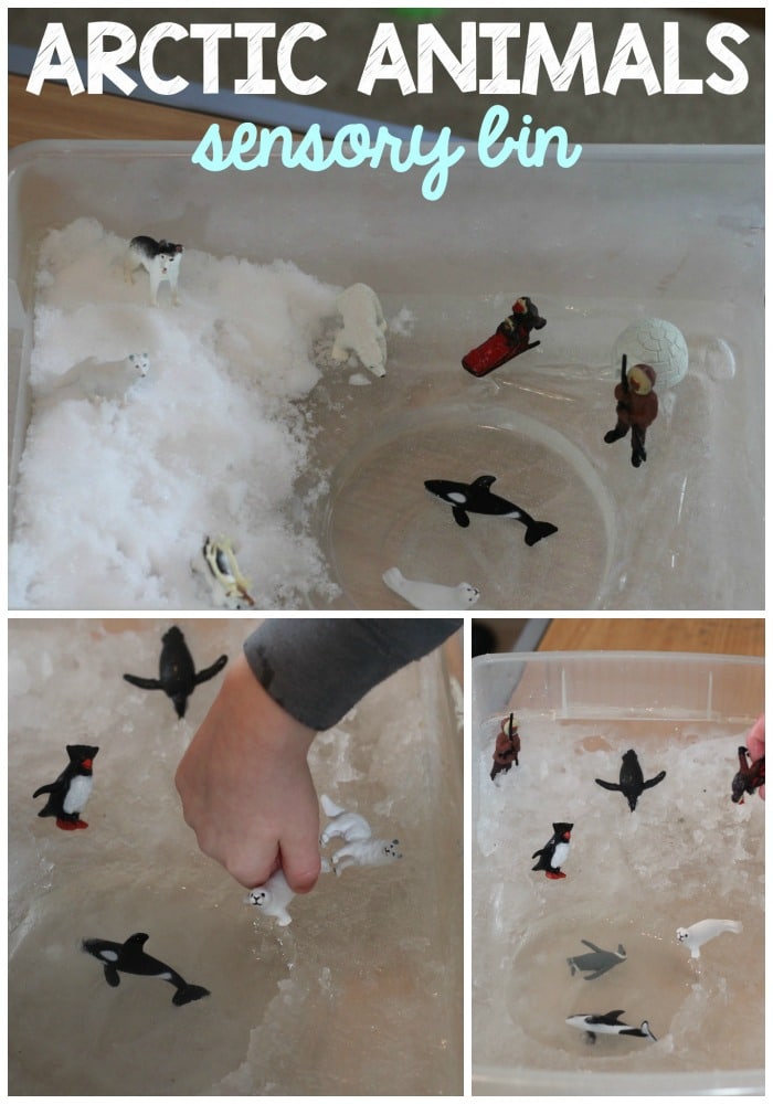 Arctic-Animals-Pin - The Educators' Spin On It Arctic Animals Sensory Bin