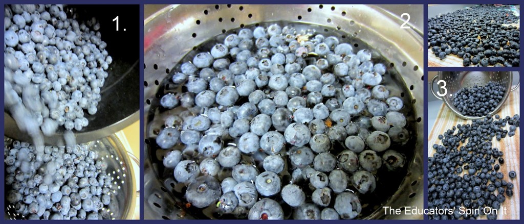 b5.jpg - The Educators' Spin On It How to Wash Blueberries