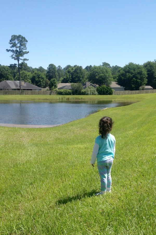 backyard-pond-with-kids - The Educators' Spin On It girl standing in grass in backyard looking at retention pond in grassy field