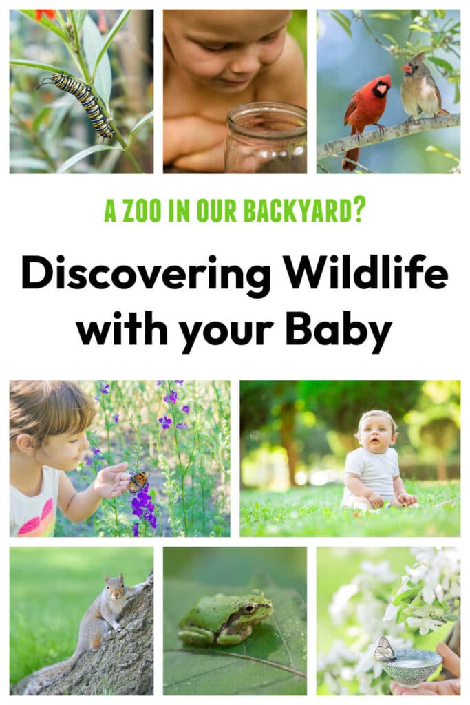 backyard-zoo-with-your-baby - The Educators' Spin On It Discovering Backyard zoo with your baby