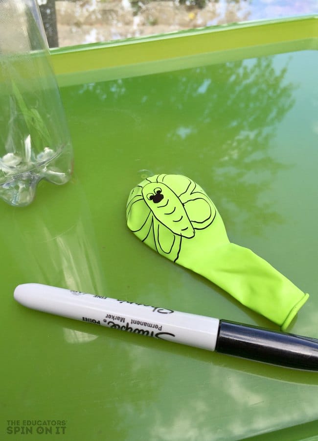 Balloon Butterfly Science Experiment - The Educators' Spin On It Balloon Butterfly Science Experiment