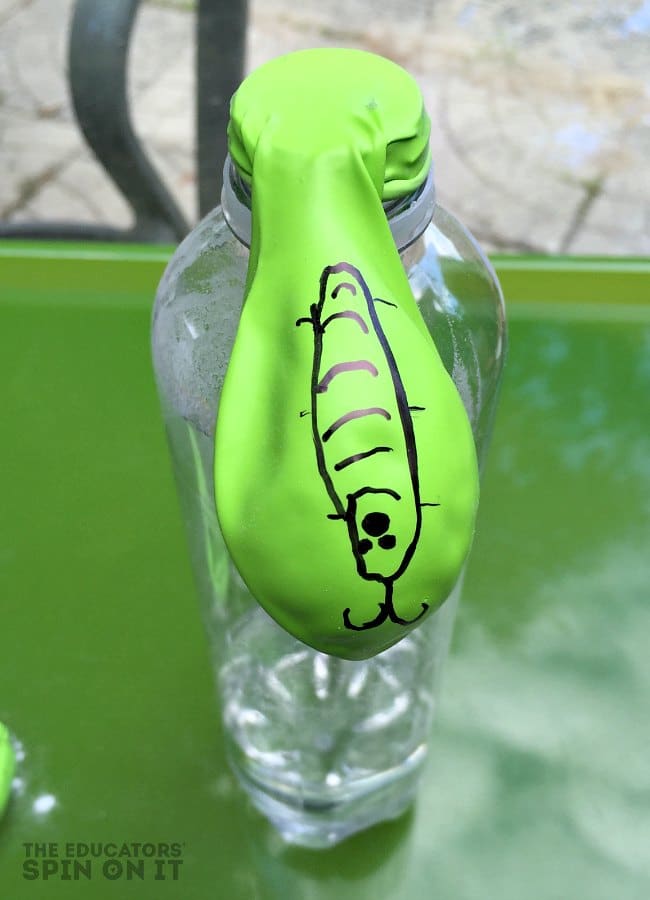 Balloon Science with Butterflies and Caterpillars - The Educators' Spin On It Balloon Science Activity with Butterflies and Caterpillars