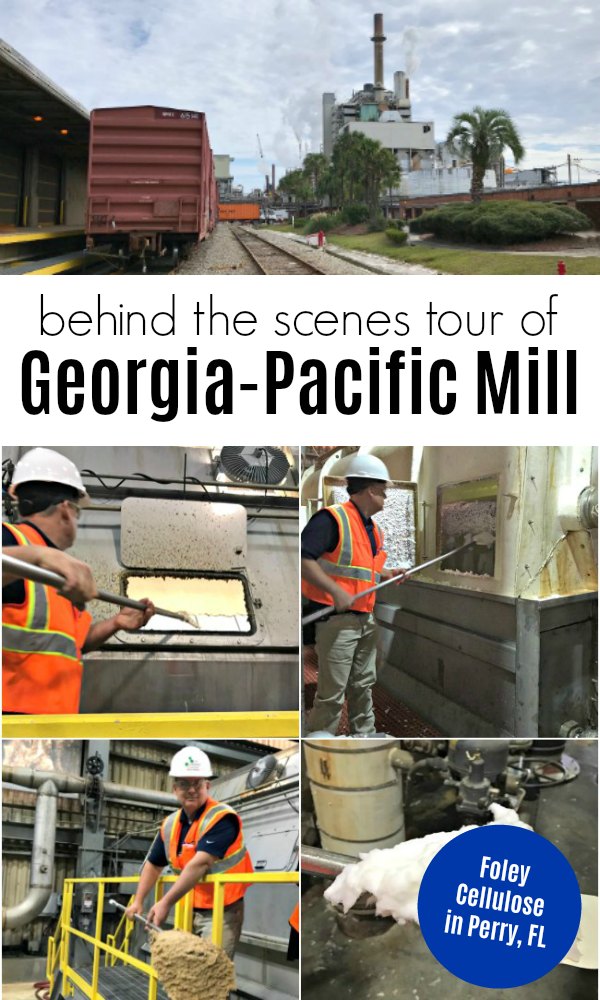 Behind the Scenes tour of Georgia-Pacific Foley Cellulose Mill in Perry, Florida - The Educators' Spin On It Behind the Scenes tour of Georgia-Pacific Foley Cellulose Mill in Perry, Florida