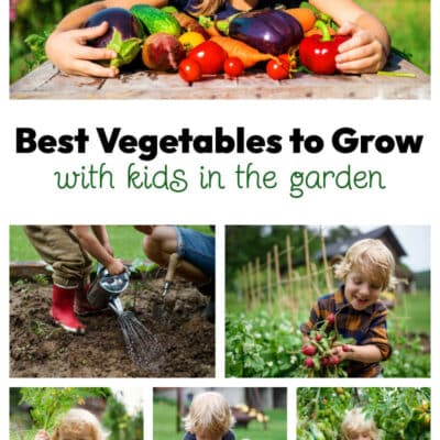 Kids Gardening – Best Vegetables to Grow with Kids
