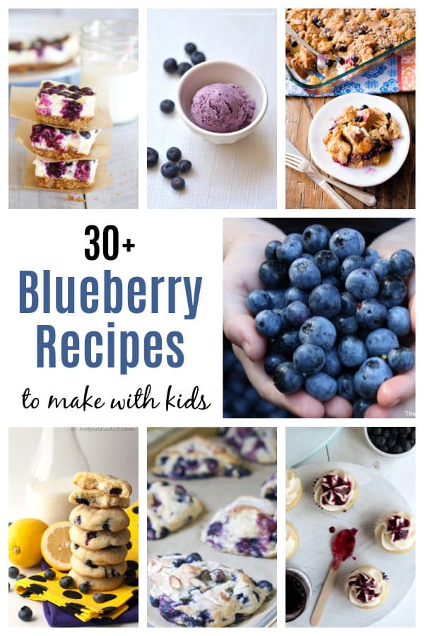 blueberry-recipes-for-kids - The Educators' Spin On It Blueberry Recipes for Kids to make