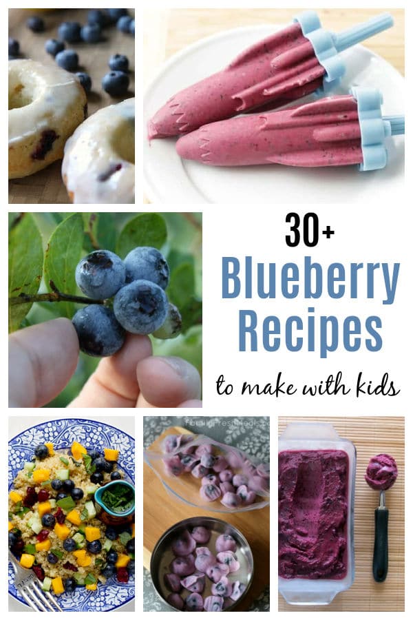 blueberry-recipes-to-make-with-kids - The Educators' Spin On It Blueberry Recipes for Kids