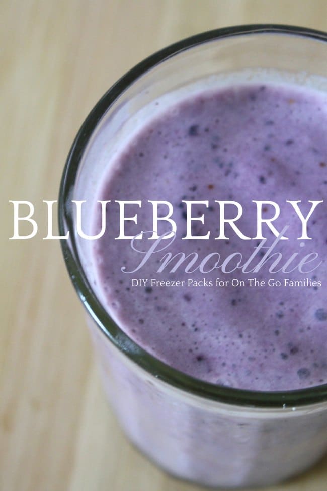 BlueberryDIYSmoothiePack - The Educators' Spin On It Ready to Blend Blueberry Smoothie Packs for the Freezer