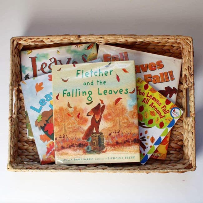 books-about-leaves-for-kids - The Educators' Spin On It Books About Fall Leaves for Kids