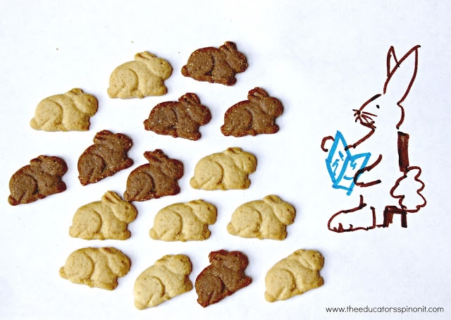 bunnies - The Educators' Spin On It