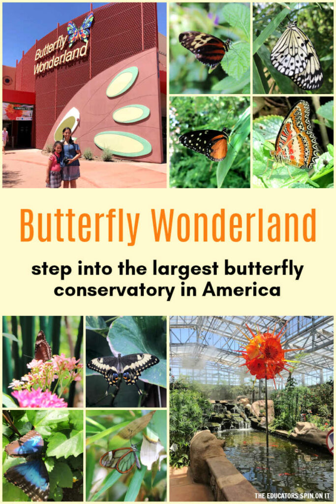 butterfly-wonderland-arizona 1 - The Educators' Spin On It Butterfly Wonderland - step into the largest butterfly conservatory in America
