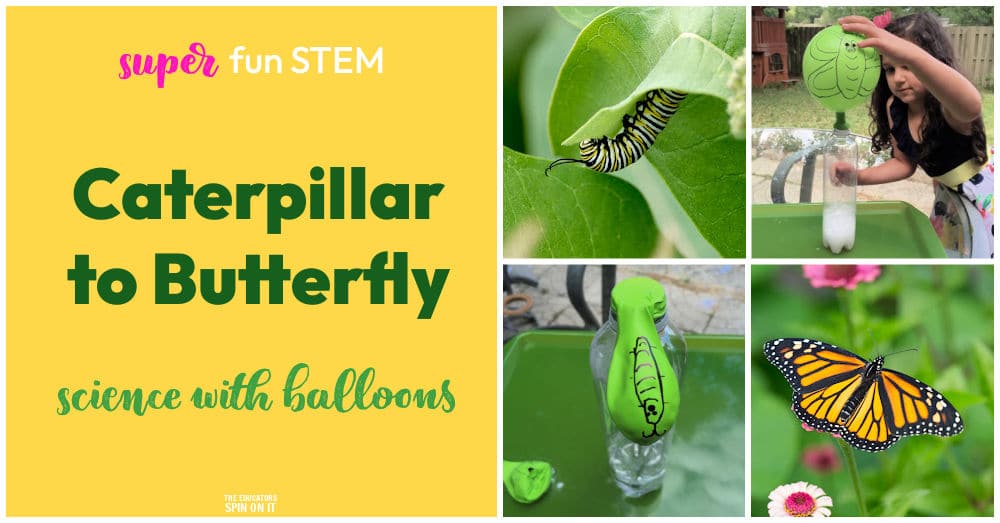 caterpillar-to-butterfly-balloon-science-experiment - The Educators' Spin On It Caterpillar to Butterfly Balloon Science Experiment