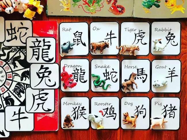 chinese-new-year-signs-with-animals - The Educators' Spin On It Chinese New Year Signs with Plastic animals laid on top