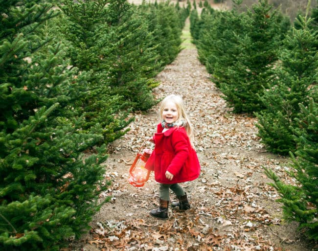 christmas-tree-farm-with-kids - The Educators' Spin On It Christmas Tree Farm Virtual Field Trip for Kids