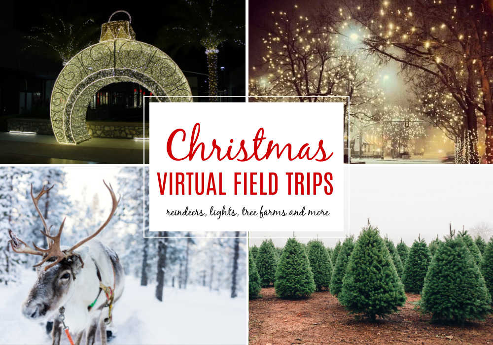 christmas-virtual-field-trips-for-kids- - The Educators' Spin On It Christmas theme virtual field trip for kids with reindeer, holiday lights, christmas tree farms and more!
