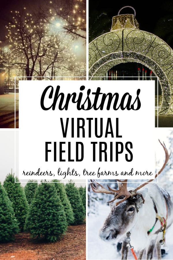 christmas-virtual-field-trips-for-kids-2 - The Educators' Spin On It Christmas Virtual Field Trips for Kids featuring reindeers, holiday lights and christmas tree farm.