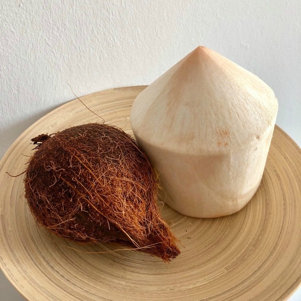 coconut science for Chicka Chicka Boom Boom - The Educators' Spin On It Sample of coconuts for kids science exploration