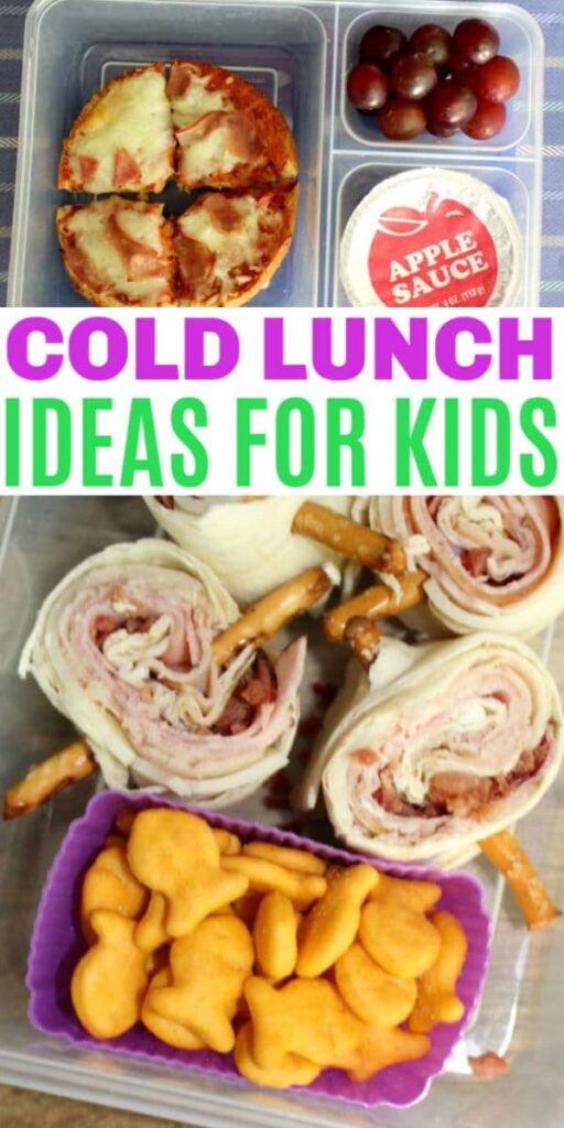 Cold-Lunch-Ideas-for-Kids-17 - The Educators' Spin On It Cold Lunch Ideas for Kids