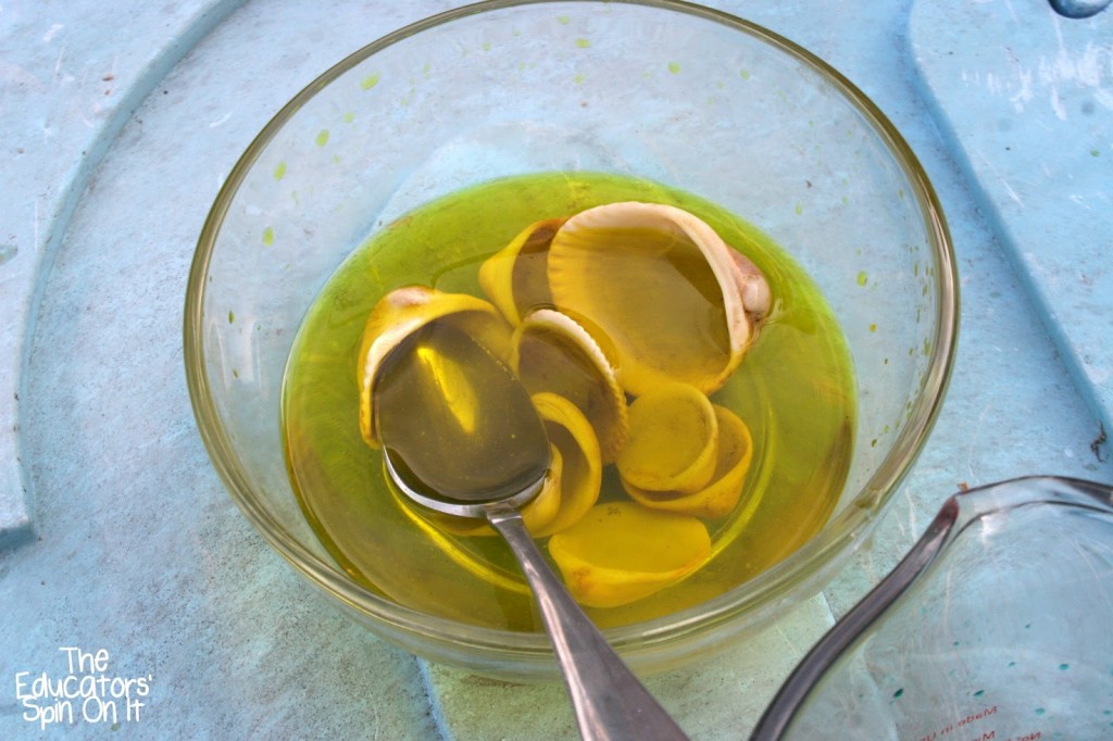 Coloring+Shells+Yellow.jpg - The Educators' Spin On It