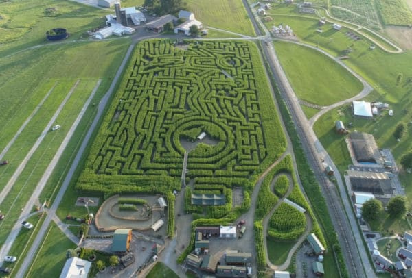 corn-maze-virtual-field-trip-for-kids - The Educators' Spin On It drown arial view of corn maze on farm for fall virtual field trip for kids.