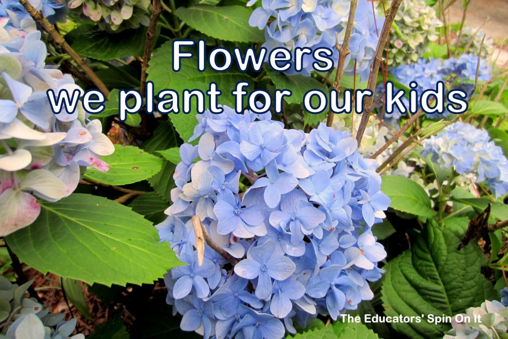 f1.jpg - The Educators' Spin On It Flowers we plant for our kids