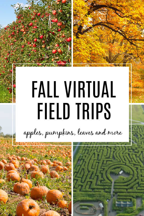 fall-virtual-field-trips-for-kids-2 - The Educators' Spin On It Fall Virtual Field Trips for Kids