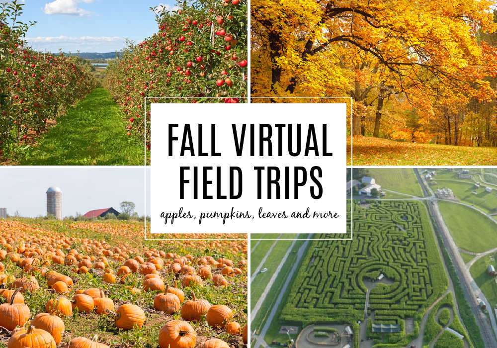 fall-virtual-field-trips-for-kids - The Educators' Spin On It Fall Virtual Field Trip for Kids