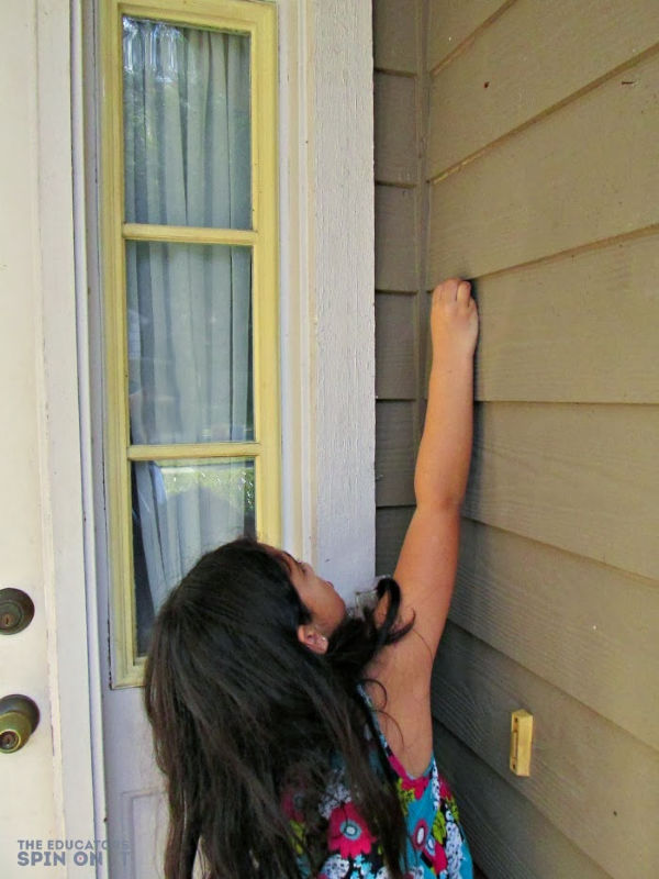 Finding-Ladybugs-from-The-Educators-Spin-On-It-1-1 - The Educators' Spin On It Child discovering ladybugs on side of house with ideas to explore ladybug science with kids