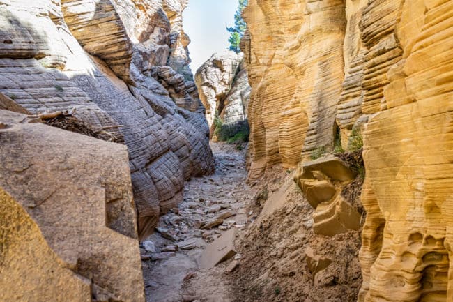 grand-wash-trail-capitol-reef-national-park - The Educators' Spin On It Grand Wash Trail Capitol Reef National Park