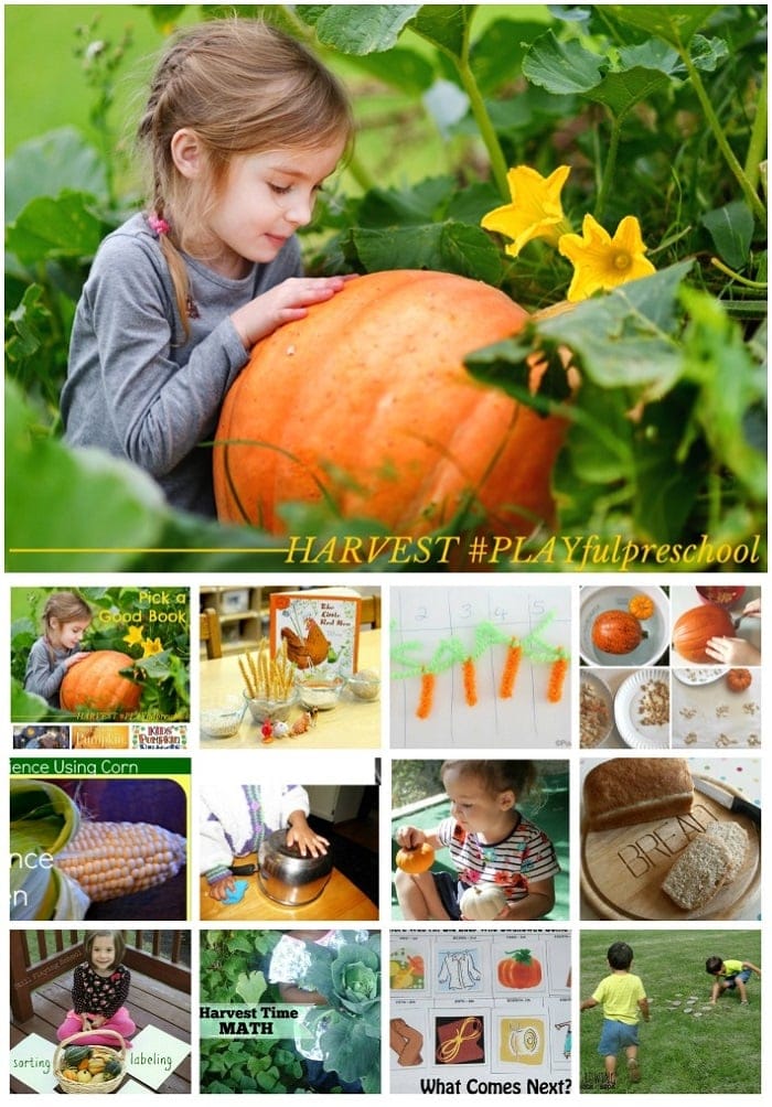 Harvest Activities for Preschool - The Educators' Spin On It Harvest Activities for Preschool