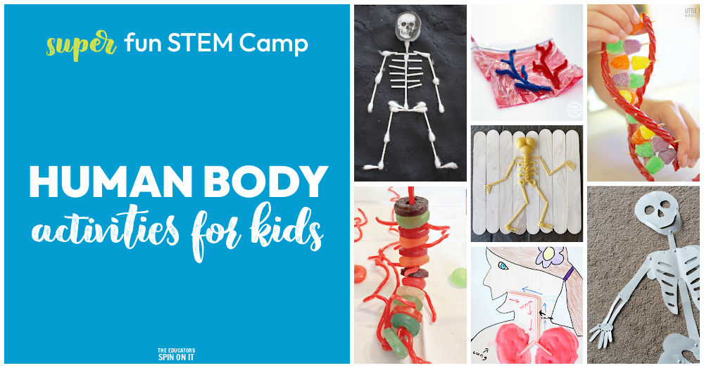 human-body-STEM-camp 1 - The Educators' Spin On It Human Body STEM Camp for Kids! Human Body Themed materials, books and activities for kids.