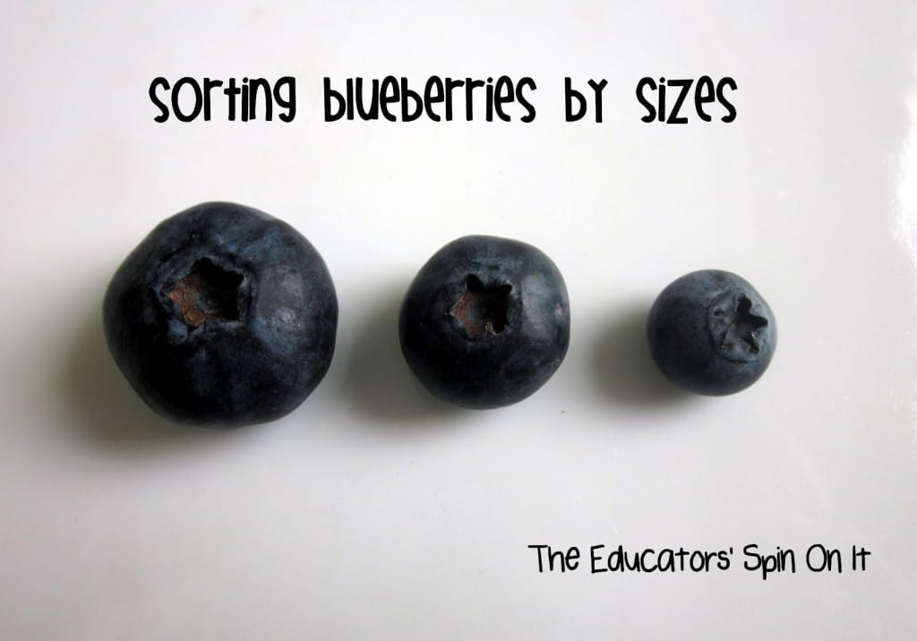 IMG_0072blog.jpg - The Educators' Spin On It blueberry size comparisons