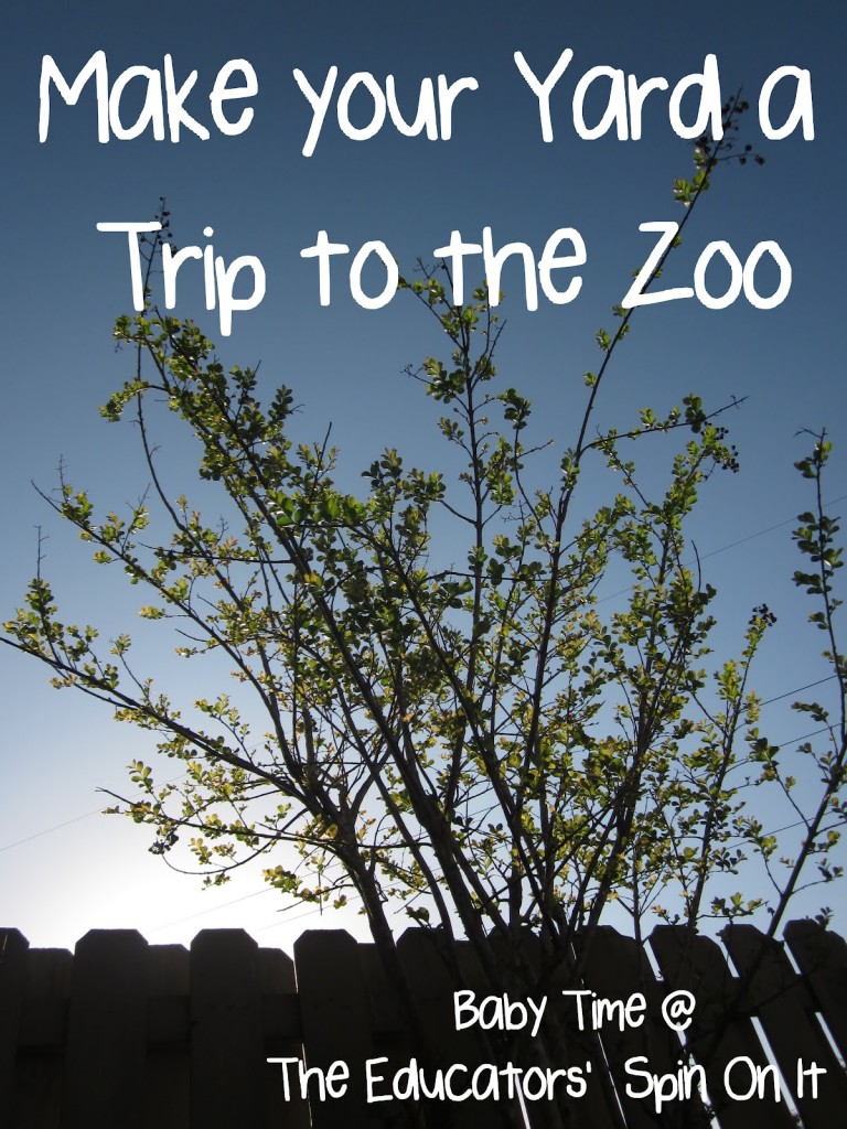 IMG_2741blog.jpg - The Educators' Spin On It How to make your yard a trip to the zoo for your baby or toddler