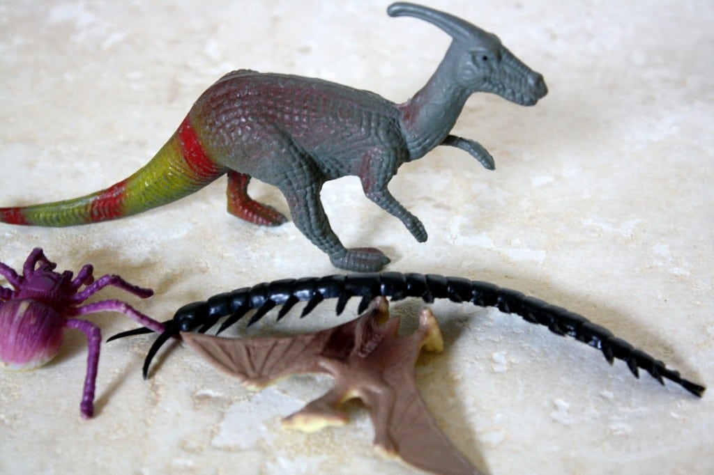 IMG_5313.JPG - The Educators' Spin On It