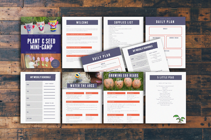 INSIDE-THE-PACK - The Educators' Spin On It