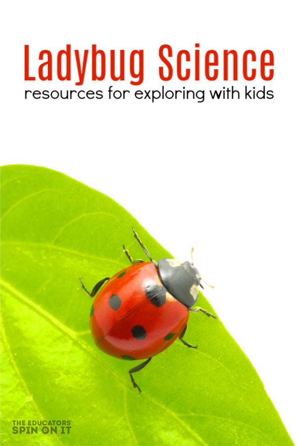 ladybug-science-for-kids-with-resources-and-books - The Educators' Spin On It ladybug on leaf with resources for teaching kids about ladybug science