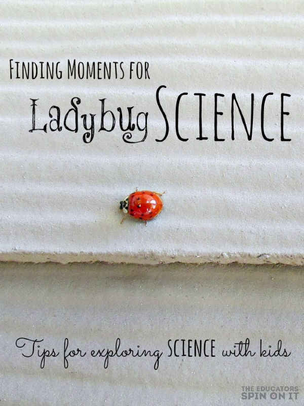 Ladybug-Science-with-Kids-from-The-Educators-Spin-On-It-1-1 - The Educators' Spin On It Ladybug on side of home for kids with tips to explore ladybug science