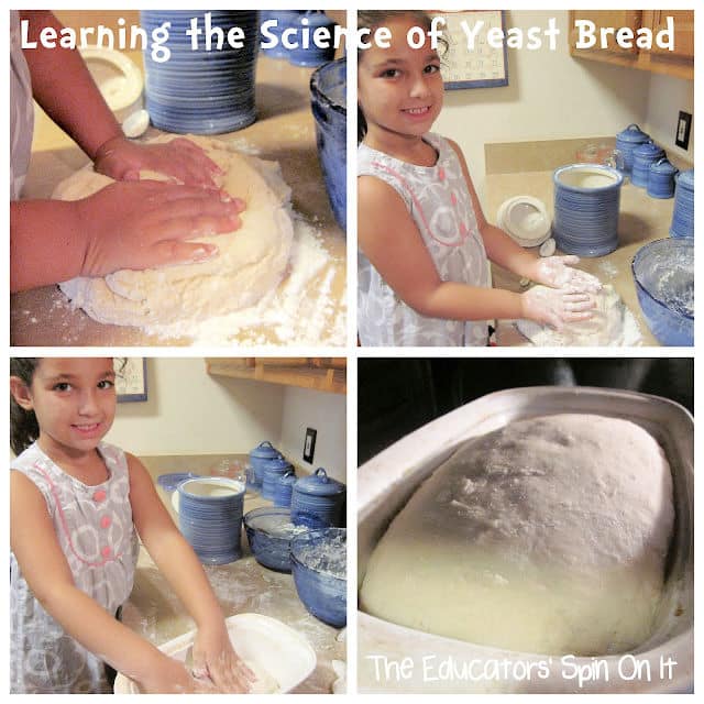 LearningtheScienceofYeastBread-1 - The Educators' Spin On It Learning about the science of yeast bread with kids