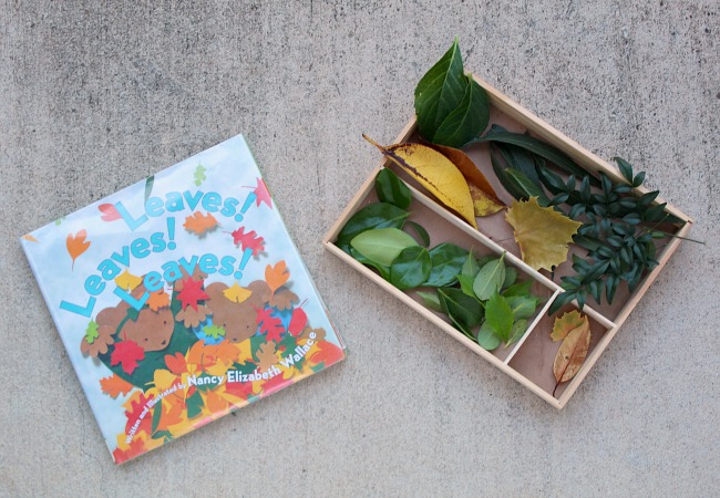 leaves-activity-for-kids - The Educators' Spin On It Leaves Book for Kids with Sorting Tray