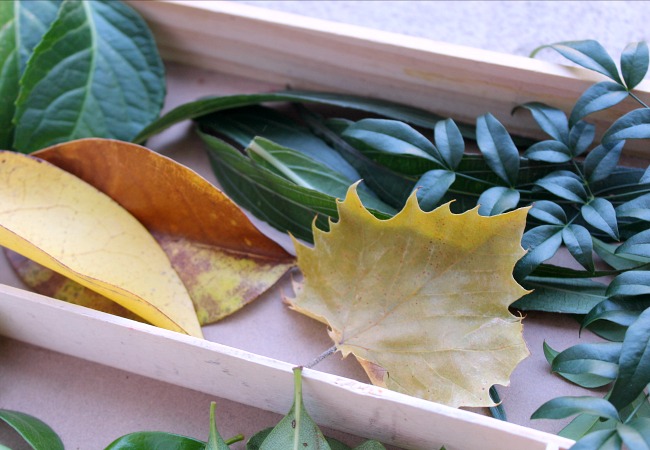leaves-for-fall-play-with-kids - The Educators' Spin On It leaves for fall play with kids