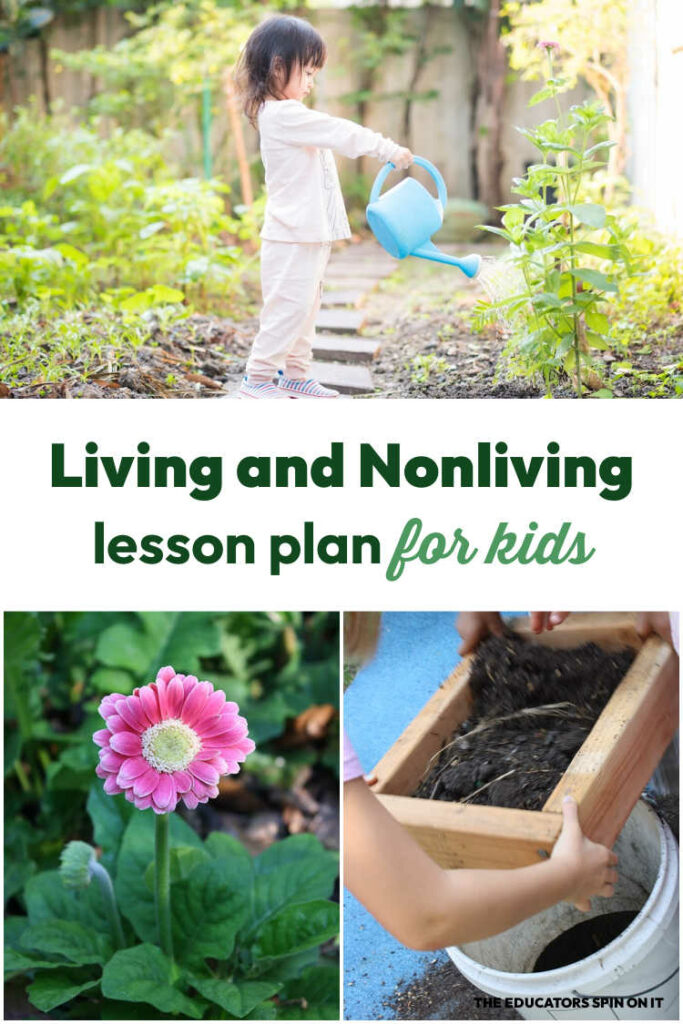 living-and-nonliving-lesson-plan-for-kids - The Educators' Spin On It living and non-living lesson plan for kids