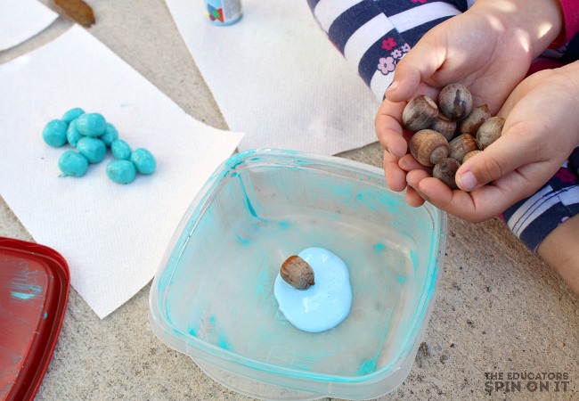 Making Math Counters from Acorns and Rainbow Paint - The Educators' Spin On It