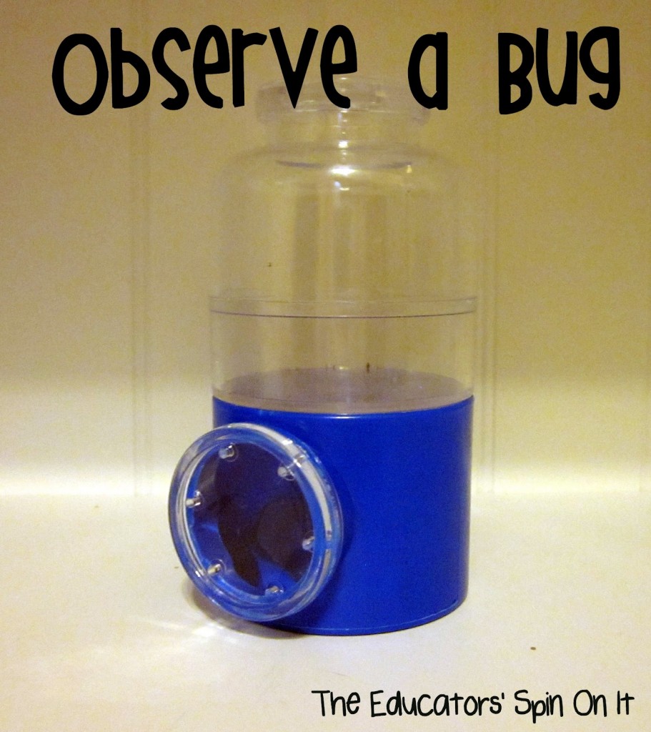 Observe+a+bug.jpg - The Educators' Spin On It